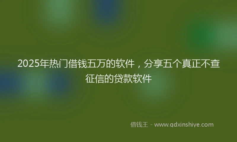 2025年热门借钱五万的软件，分享五个真正不查征信的贷款软件