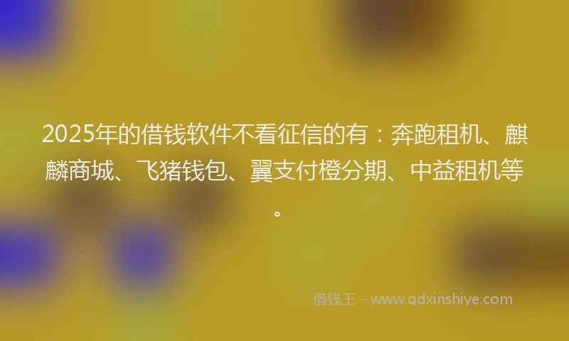 2025年的借钱软件不看征信的有：奔跑租机、麒麟商城、飞猪钱包、翼支付橙分期、中益租机等。
