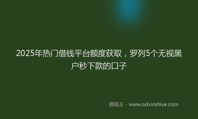 2025年热门借钱平台额度获取，罗列5个无视黑户秒下款的口子