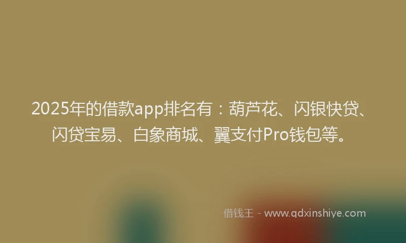 2025年的借款app排名有：葫芦花、闪银快贷、闪贷宝易、白象商城、翼支付Pro钱包等。