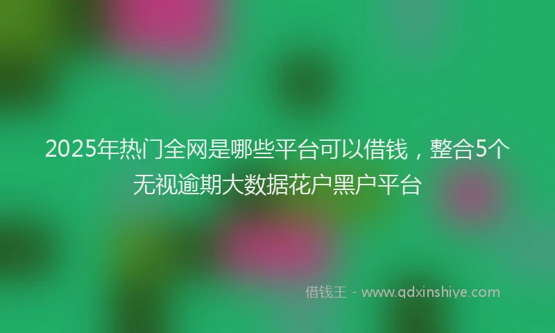 2025年热门全网是哪些平台可以借钱，整合5个无视逾期大数据花户黑户平台