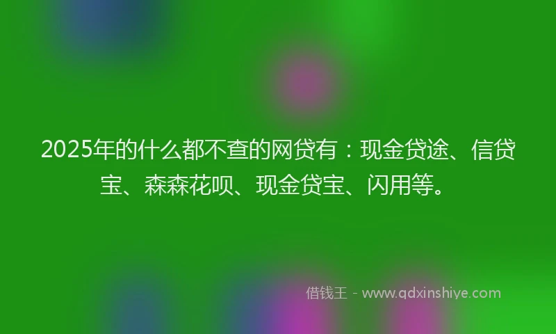 2025年的什么都不查的网贷有：现金贷途、信贷宝、森森花呗、现金贷宝、闪用等。