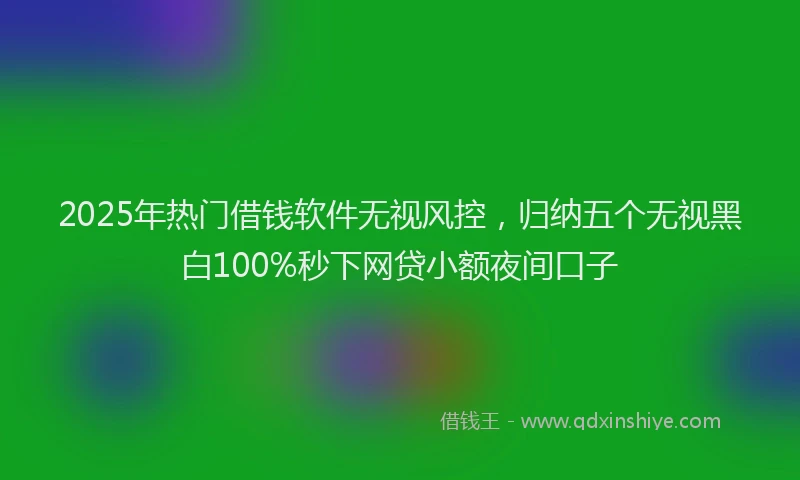 2025年热门借钱软件无视风控，归纳五个无视黑白100%秒下网贷小额夜间口子