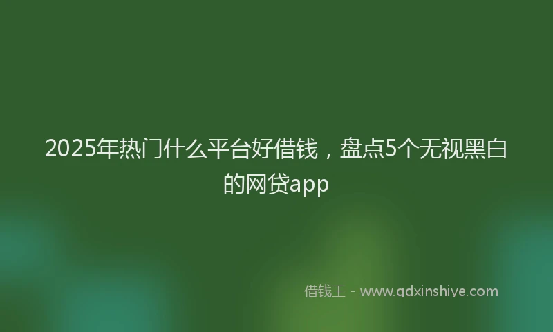 2025年热门什么平台好借钱，盘点5个无视黑白的网贷app