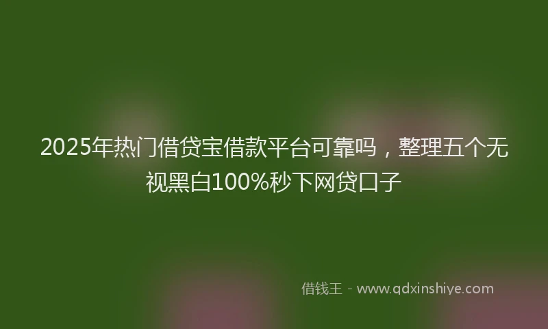 2025年热门借贷宝借款平台可靠吗，整理五个无视黑白100%秒下网贷口子