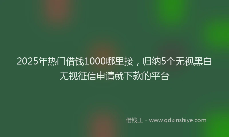 2025年热门借钱1000哪里接，归纳5个无视黑白无视征信申请就下款的平台
