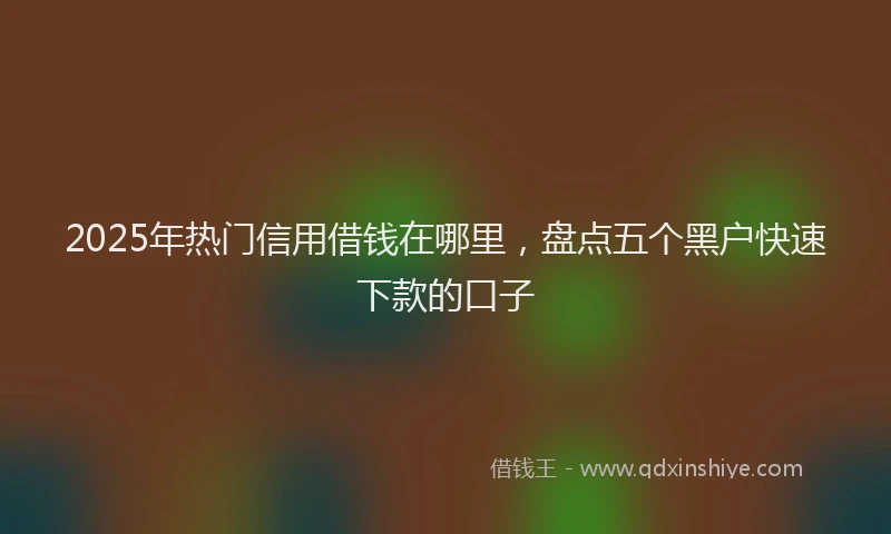 2025年热门信用借钱在哪里，盘点五个黑户快速下款的口子
