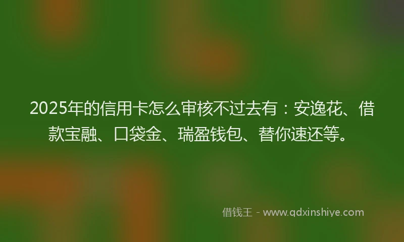 2025年的信用卡怎么审核不过去有：安逸花、借款宝融、口袋金、瑞盈钱包、替你速还等。