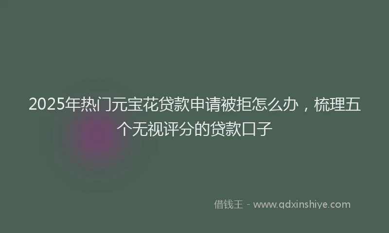 2025年热门元宝花贷款申请被拒怎么办，梳理五个无视评分的贷款口子