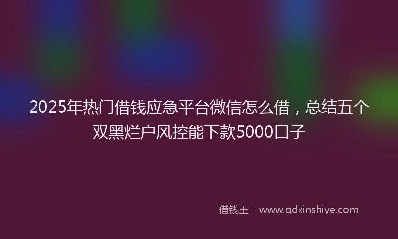 2025年热门借钱应急平台微信怎么借，总结五个双黑烂户风控能下款5000口子