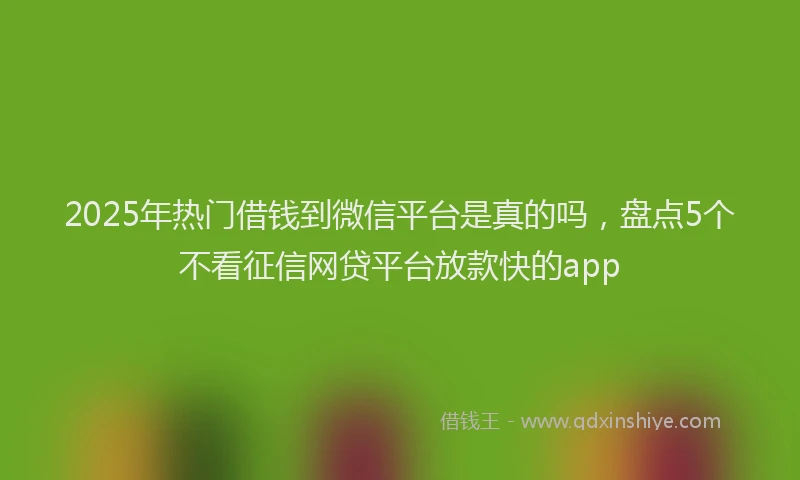 2025年热门借钱到微信平台是真的吗，盘点5个不看征信网贷平台放款快的app