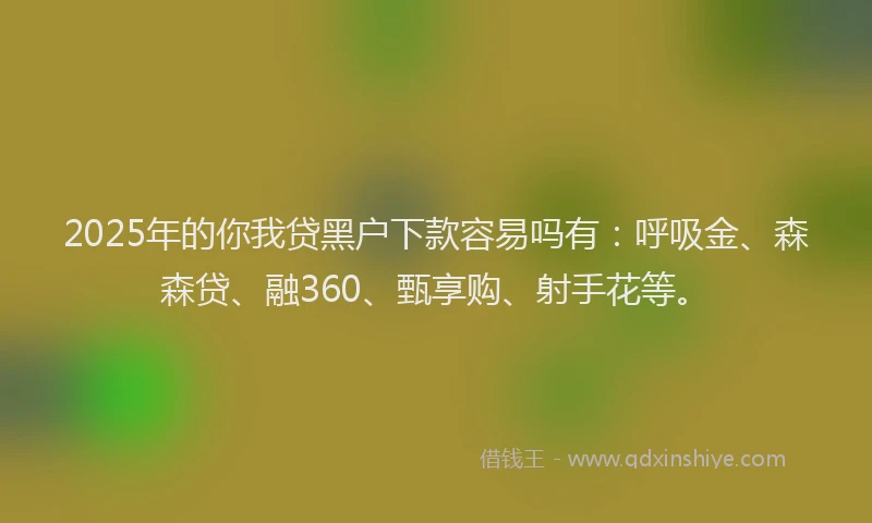 2025年的你我贷黑户下款容易吗有：呼吸金、森森贷、融360、甄享购、射手花等。