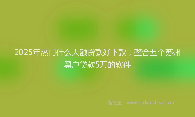 2025年热门什么大额贷款好下款，整合五个苏州黑户贷款5万的软件