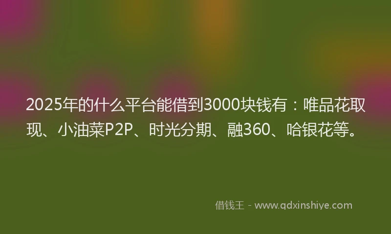 2025年的什么平台能借到3000块钱有：唯品花取现、小油菜P2P、时光分期、融360、哈银花等。