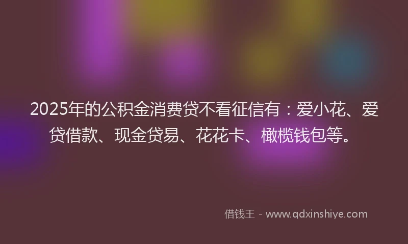 2025年的公积金消费贷不看征信有：爱小花、爱贷借款、现金贷易、花花卡、橄榄钱包等。