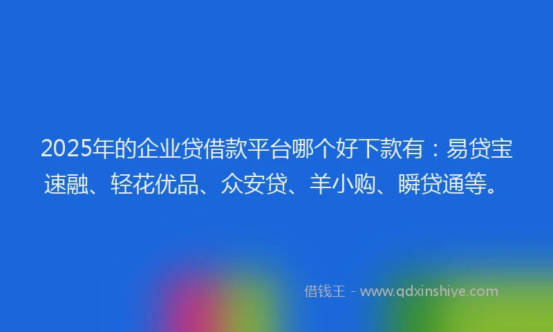 2025年的企业贷借款平台哪个好下款有：易贷宝速融、轻花优品、众安贷、羊小购、瞬贷通等。