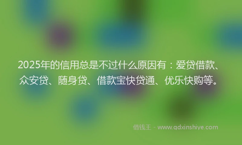 2025年的信用总是不过什么原因有：爱贷借款、众安贷、随身贷、借款宝快贷通、优乐快购等。