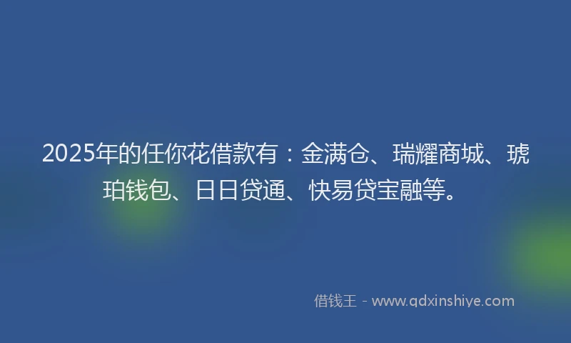 2025年的任你花借款有：金满仓、瑞耀商城、琥珀钱包、日日贷通、快易贷宝融等。