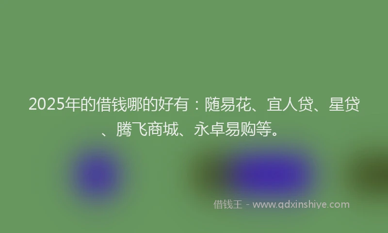 2025年的借钱哪的好有：随易花、宜人贷、星贷、腾飞商城、永卓易购等。