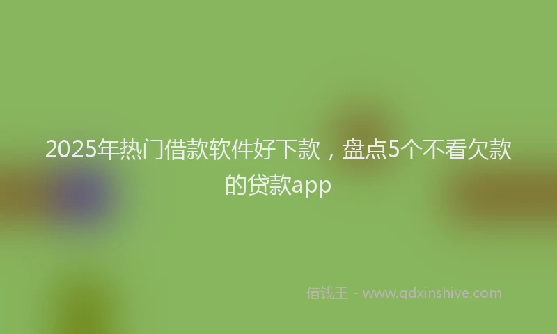 2025年热门借款软件好下款，盘点5个不看欠款的贷款app
