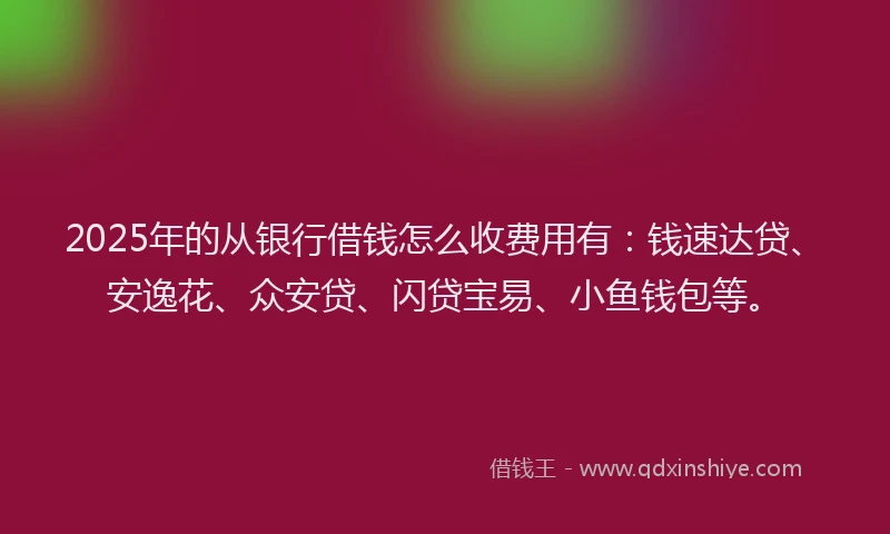 2025年的从银行借钱怎么收费用有：钱速达贷、安逸花、众安贷、闪贷宝易、小鱼钱包等。