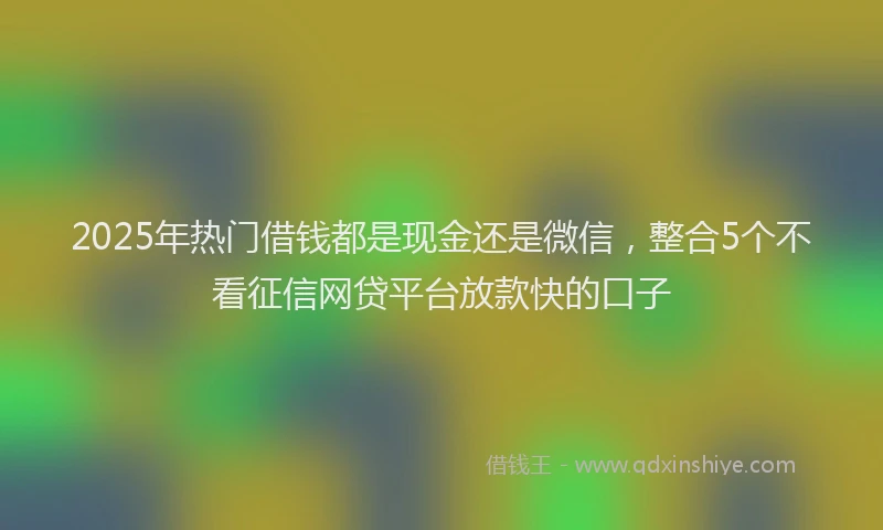 2025年热门借钱都是现金还是微信，整合5个不看征信网贷平台放款快的口子