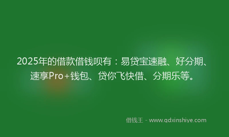 2025年的借款借钱呗有：易贷宝速融、好分期、速享Pro+钱包、贷你飞快借、分期乐等。