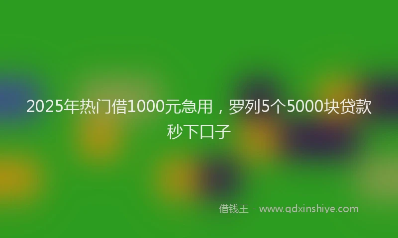 2025年热门借1000元急用，罗列5个5000块贷款秒下口子