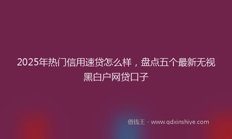 2025年热门信用速贷怎么样，盘点五个最新无视黑白户网贷口子