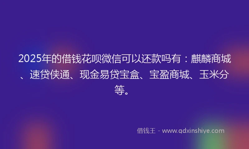 2025年的借钱花呗微信可以还款吗有：麒麟商城、速贷侠通、现金易贷宝盒、宝盈商城、玉米分等。