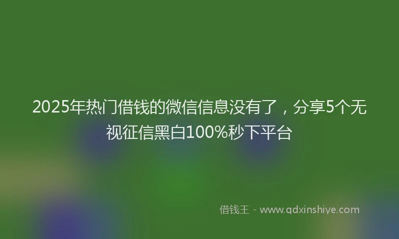 2025年热门借钱的微信信息没有了，分享5个无视征信黑白100%秒下平台