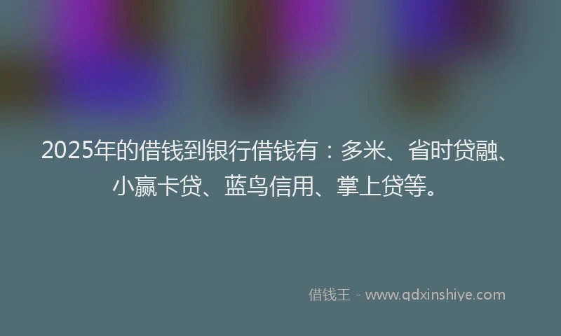 2025年的借钱到银行借钱有：多米、省时贷融、小赢卡贷、蓝鸟信用、掌上贷等。