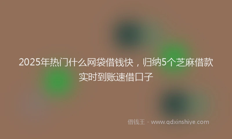 2025年热门什么网袋借钱快，归纳5个芝麻借款实时到账速借口子