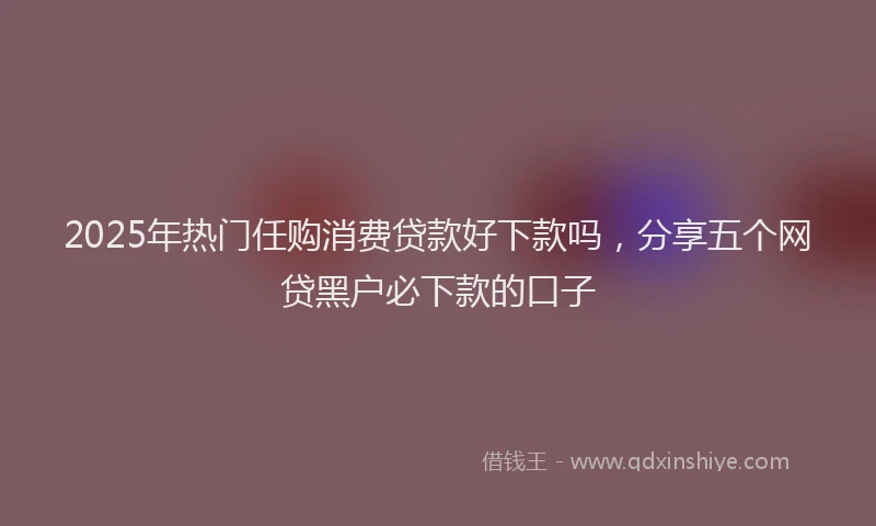 2025年热门任购消费贷款好下款吗，分享五个网贷黑户必下款的口子