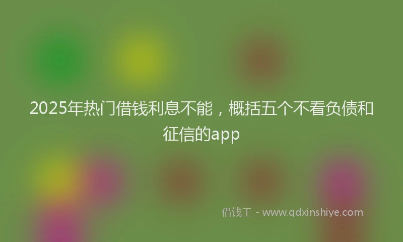 2025年热门借钱利息不能，概括五个不看负债和征信的app