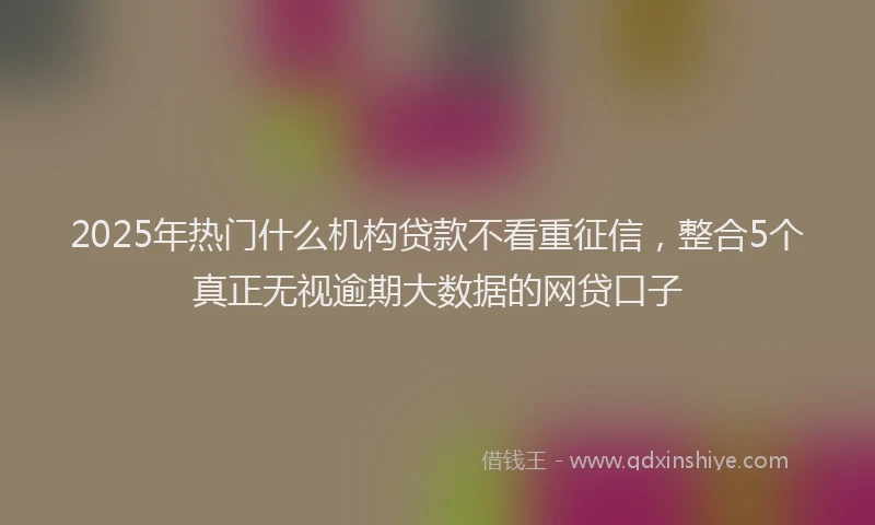 2025年热门什么机构贷款不看重征信，整合5个真正无视逾期大数据的网贷口子