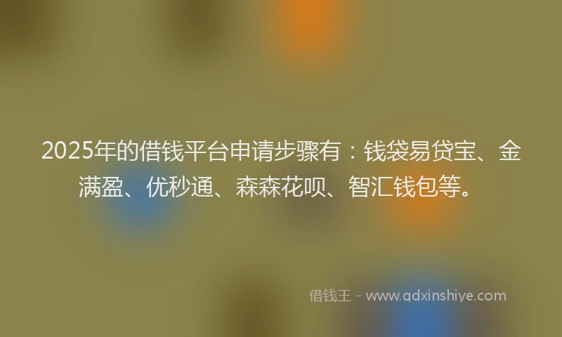 2025年的借钱平台申请步骤有：钱袋易贷宝、金满盈、优秒通、森森花呗、智汇钱包等。