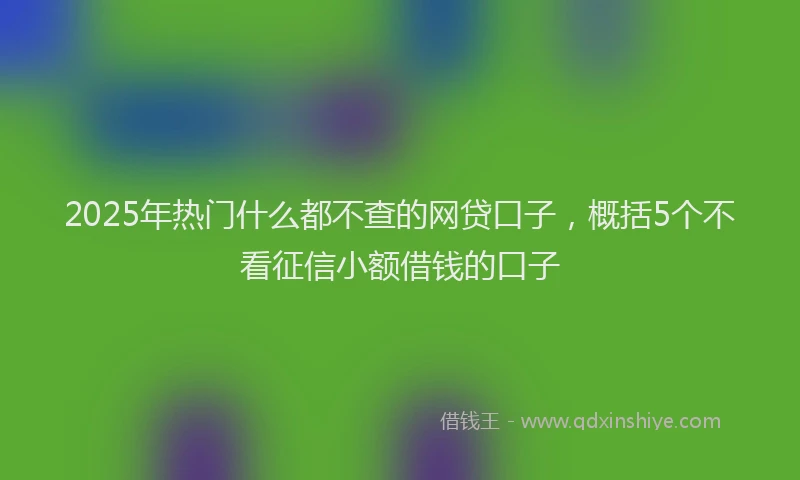 2025年热门什么都不查的网贷口子，概括5个不看征信小额借钱的口子