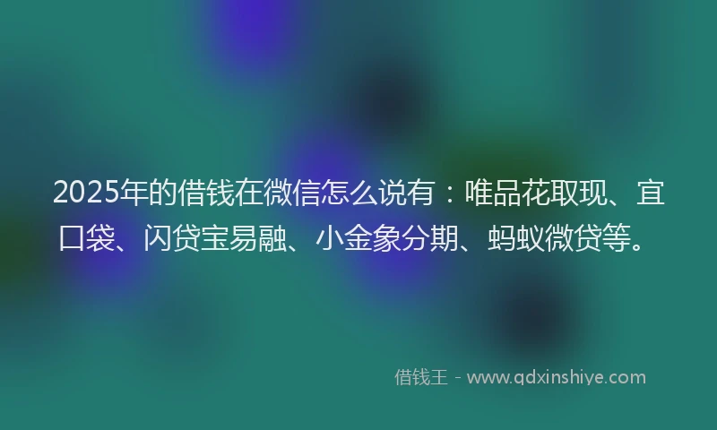2025年的借钱在微信怎么说有：唯品花取现、宜口袋、闪贷宝易融、小金象分期、蚂蚁微贷等。