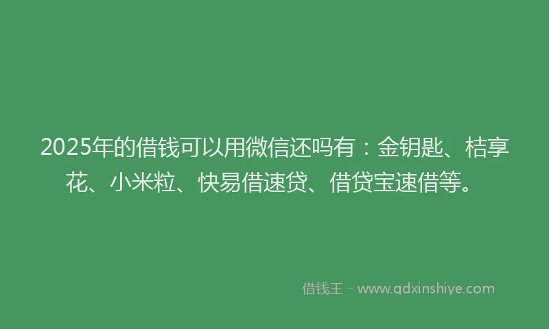 2025年的借钱可以用微信还吗有：金钥匙、桔享花、小米粒、快易借速贷、借贷宝速借等。