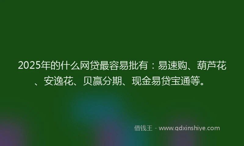 2025年的什么网贷最容易批有：易速购、葫芦花、安逸花、贝赢分期、现金易贷宝通等。