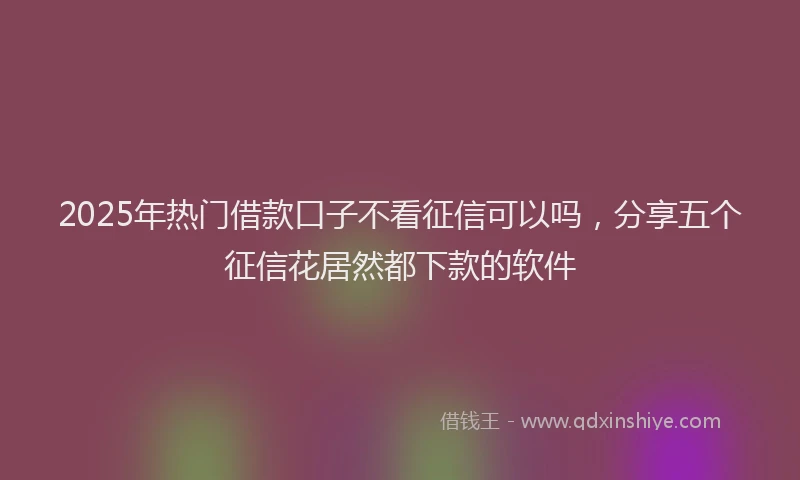 2025年热门借款口子不看征信可以吗，分享五个征信花居然都下款的软件