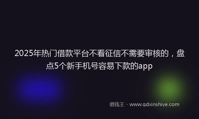 2025年热门借款平台不看征信不需要审核的，盘点5个新手机号容易下款的app