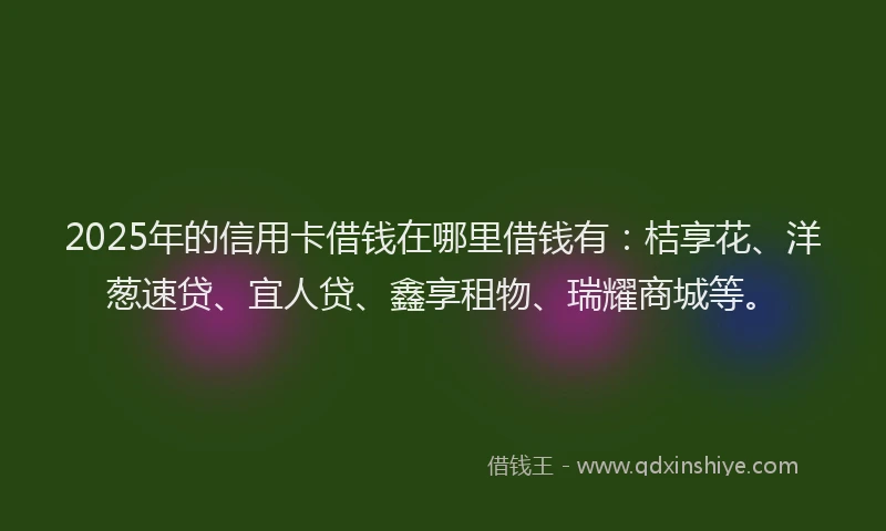 2025年的信用卡借钱在哪里借钱有：桔享花、洋葱速贷、宜人贷、鑫享租物、瑞耀商城等。