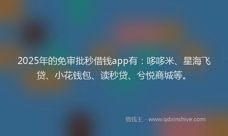 2025年的免审批秒借钱app有：哆哆米、星海飞贷、小花钱包、读秒贷、兮悦商城等。