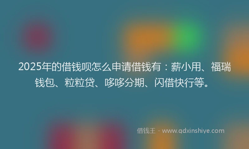 2025年的借钱呗怎么申请借钱有：薪小用、福瑞钱包、粒粒贷、哆哆分期、闪借快行等。