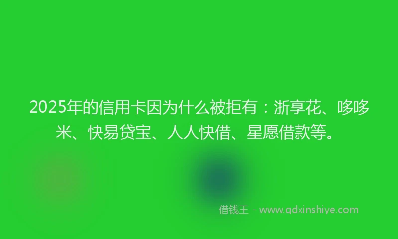 2025年的信用卡因为什么被拒有：浙享花、哆哆米、快易贷宝、人人快借、星愿借款等。