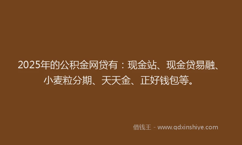 2025年的公积金网贷有：现金站、现金贷易融、小麦粒分期、天天金、正好钱包等。