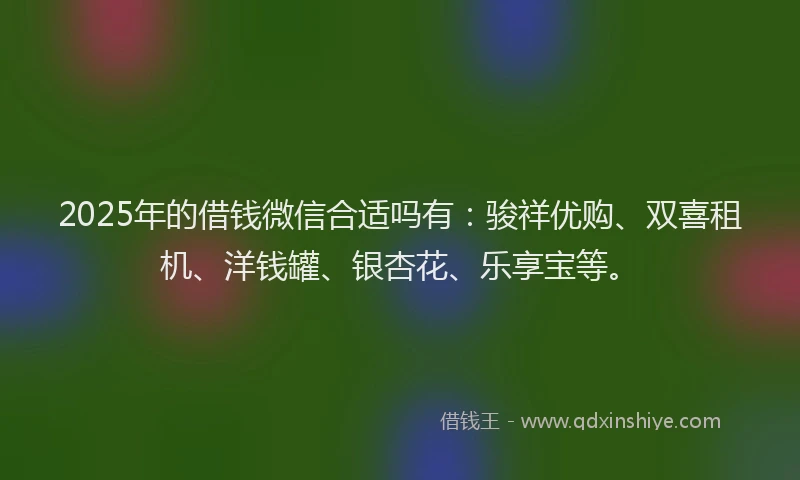 2025年的借钱微信合适吗有：骏祥优购、双喜租机、洋钱罐、银杏花、乐享宝等。