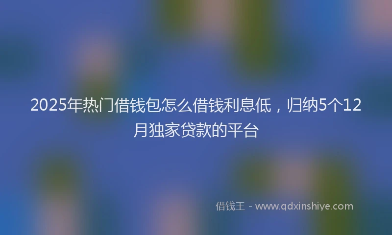 2025年热门借钱包怎么借钱利息低，归纳5个12月独家贷款的平台